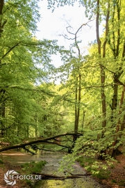 größte deutsche Ostseeinsel im Frühjahr - Tipps für den Rügen Urlaub