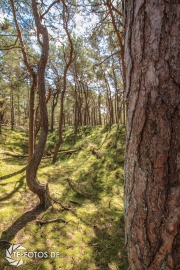 größte deutsche Ostseeinsel im Frühjahr - Tipps für den Rügen Urlaub