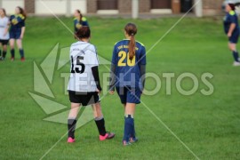 FSG Weser/Verna - TSV Dassensen