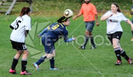 FSG Weser/Verna - TSV Dassensen