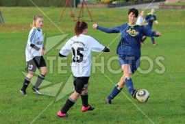 FSG Weser/Verna - TSV Dassensen