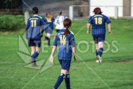 FSG Weser/Verna - TSV Dassensen