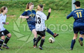 FSG Weser/Verna - TSV Dassensen