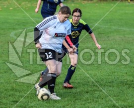 FSG Weser/Verna - TSV Dassensen