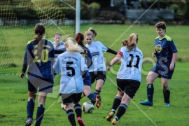 FSG Weser/Verna - TSV Dassensen