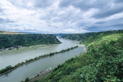 Loreley am Rhein