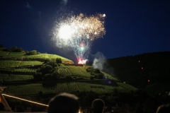 Rhein in Flammen in Bingen