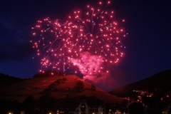 Rhein in Flammen in Bingen