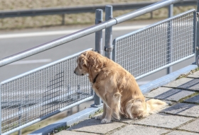 2017-03-11_13-49_14-17