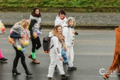 60 Jahre Karneval 60 Jahre Karneval