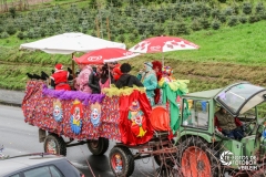 60 Jahre Karneval 60 Jahre Karneval