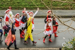 60 Jahre Karneval 60 Jahre Karneval