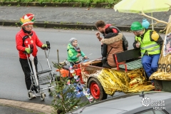 60 Jahre Karneval 60 Jahre Karneval