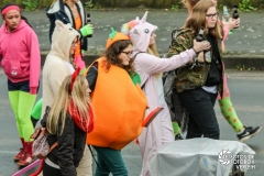 60 Jahre Karneval 60 Jahre Karneval