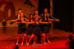 60. Jahre Karneval in Schoningen 2018 60. Jahre Karneval in Schoningen 2018