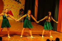 60. Jahre Karneval in Schoningen 2018 60. Jahre Karneval in Schoningen 2018