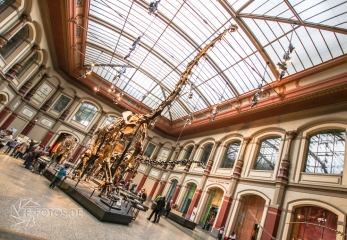 2018-01-06_12-16-11_96-2