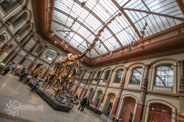 2018-01-06_12-16-11_96