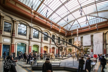 2018-01-06_12-24-25_96