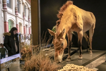 2018-01-06_12-25-39_96