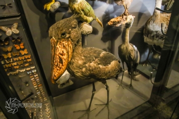 2018-01-06_12-47-25_96