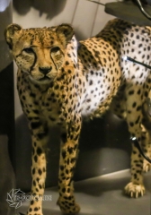 2018-01-06_12-48-44_96