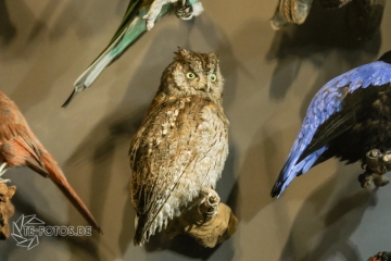 2018-01-06_12-49-40_96