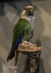 2018-01-06_12-49-46_96