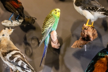 2018-01-06_12-49-53_96