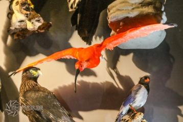 2018-01-06_12-50-16_96