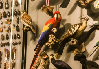 2018-01-06_12-50-54_96