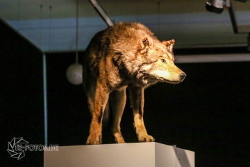 2018-01-06_13-13-59_96