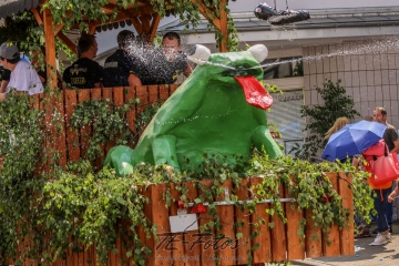 Festumzug - 125 Jahre Feuerwehr Schoningen
