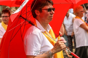 Festumzug - 125 Jahre Feuerwehr Schoningen