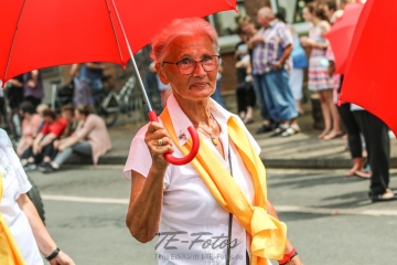 Festumzug - 125 Jahre Feuerwehr Schoningen