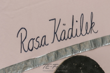 Festumzug - 125 Jahre Feuerwehr Schoningen Festumzug - 125 Jahre Feuerwehr Schoningen