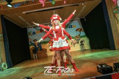 Karneval in Schoningen 2019