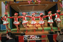 Karneval in Schoningen 2019