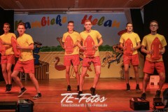 Karneval in Schoningen 2019