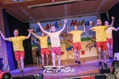 Karneval in Schoningen 2019 Karneval in Schoningen 2019