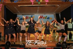 Karneval in Schoningen 2019 Karneval in Schoningen 2019