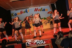 Karneval in Schoningen 2019 Karneval in Schoningen 2019