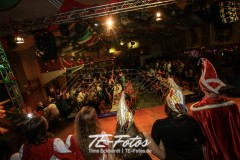 Karneval in Schoningen 2019 Karneval in Schoningen 2019