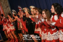 Karneval in Schoningen 2019 Karneval in Schoningen 2019