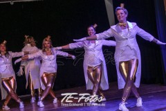 Karneval in Schoningen 2019 Karneval in Schoningen 2019