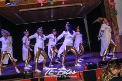 Karneval in Schoningen 2019 Karneval in Schoningen 2019