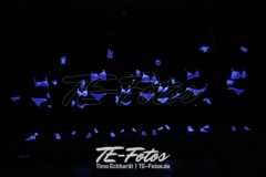 Karneval in Schoningen 2019 Karneval in Schoningen 2019