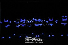 Karneval in Schoningen 2019 Karneval in Schoningen 2019