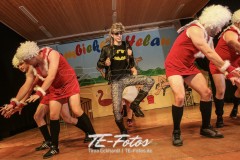 Karneval in Schoningen 2019