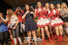 Karneval in Schoningen 2019